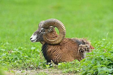 《黑神话：悟空》销量突破1800万 将迎来扩展内容