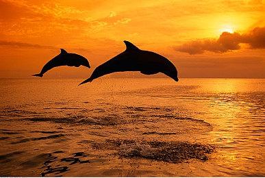 《野狗子》新情报公布 介绍新角色以及武器战斗等